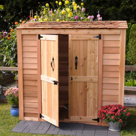 tai che pallet go cu