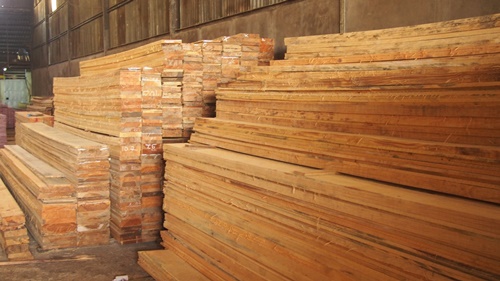 cửa hàng pallet gỗ thông phú trang