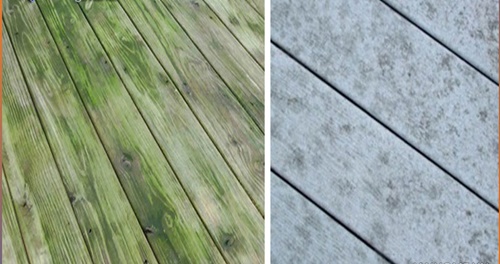 Các biện pháp hạn chế nấm mốc 