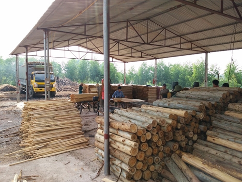 Gỗ Thông Phú Trang - Địa chỉ cũng cấp gỗ uy tín chất lượng