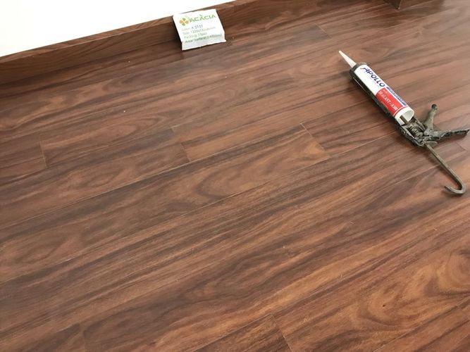 Phân loại gỗ Acacia