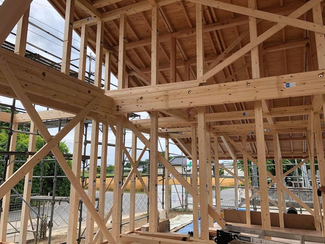 Gỗ xây dựng dùng trong các công trình