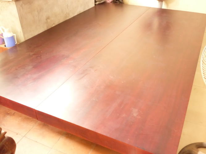 Giá trị của cây gỗ dổi