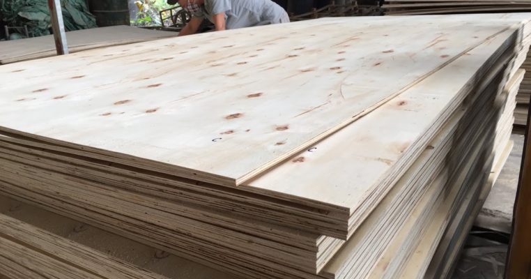 Quá trình xử lý gỗ ván ép