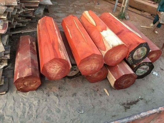 giá gỗ hương huyết bao nhiêu
