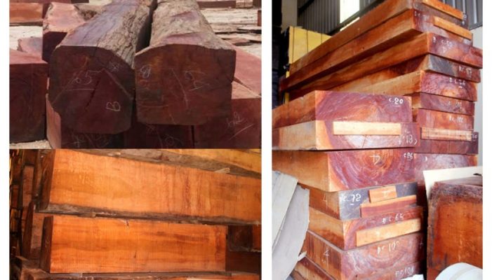 đặc điểm gỗ gụ mật 