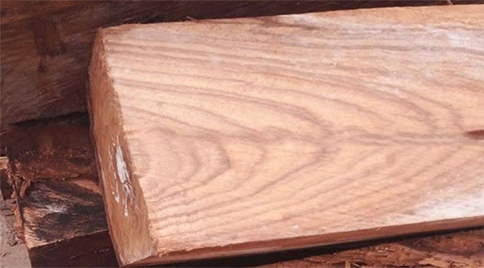 Gỗ Hương Nam Phi là gỗ gì