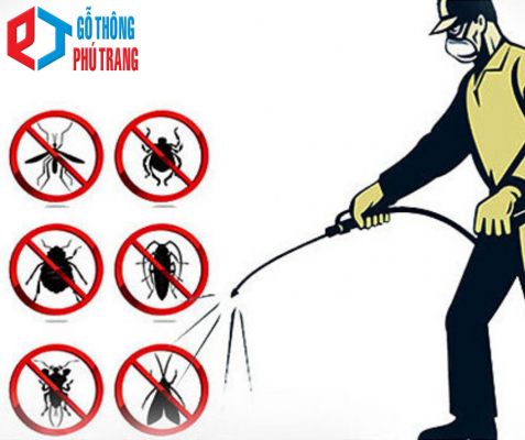 dấu hun trùng trên pallet