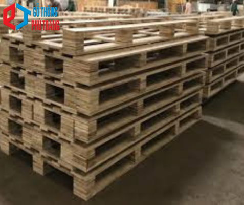 gỗ thông sáng mai