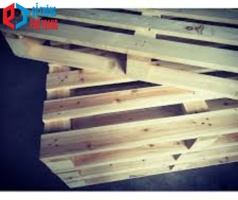 gỗ thông sáng mai