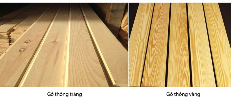 Phân loại gỗ thông sấy