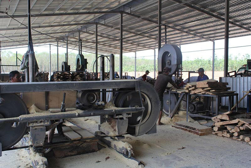 Quy trình sản xuất gỗ thông sấy