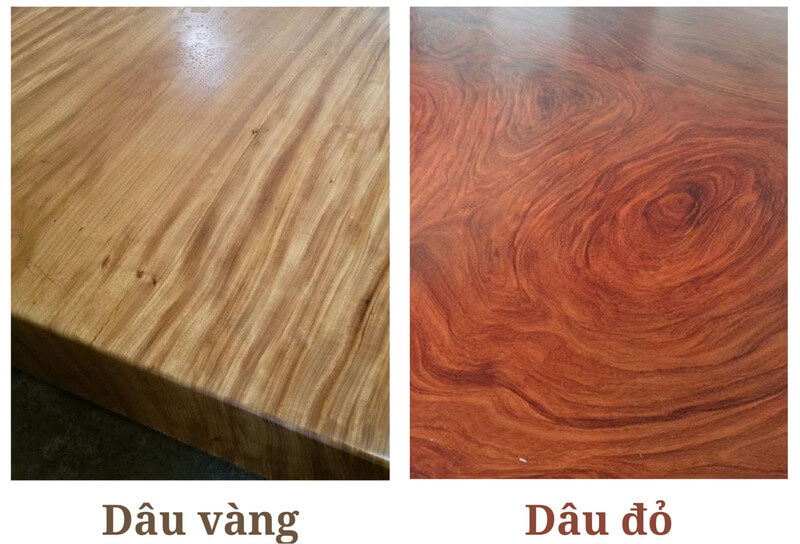 Gỗ Dâu vàng và Dâu đỏ