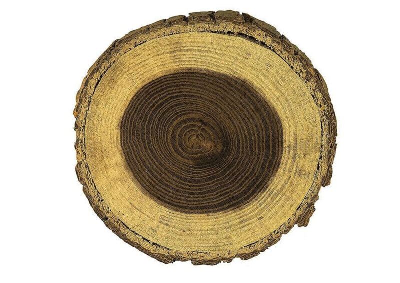 Màu sắc đặc trưng của gỗ