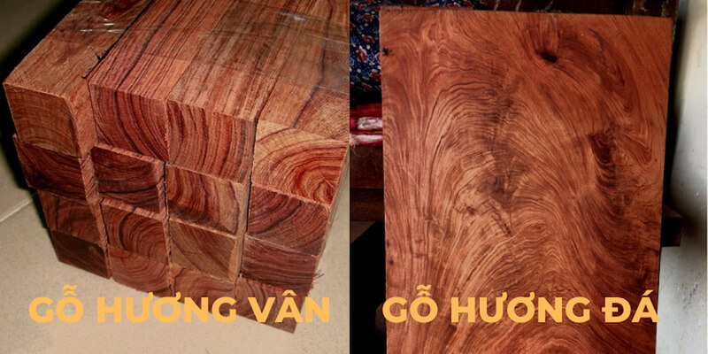 Gỗ Giáng Hương Vân và Hương Đá