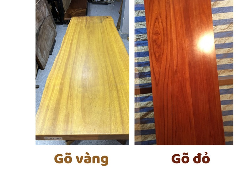 Gỗ Gõ vàng và gỗ Gõ đỏ