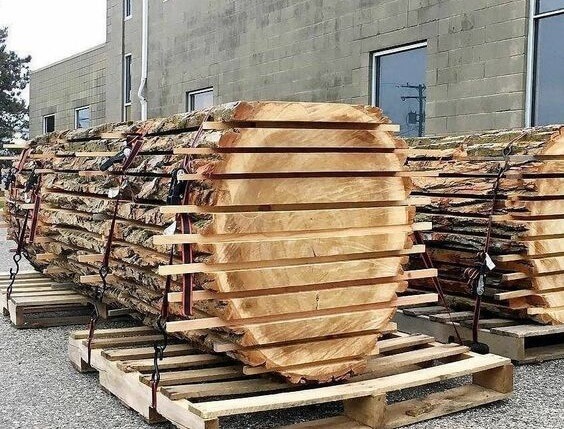 Đặc điểm nhận biết gỗ me tây