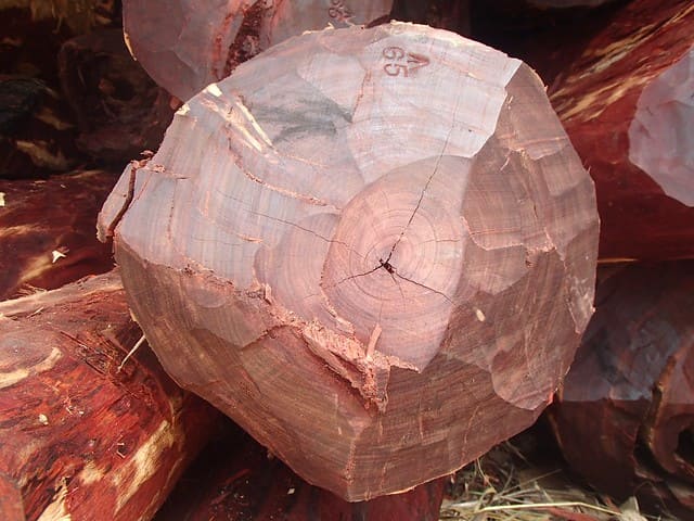 Gỗ Hương Nam Phi đỏ