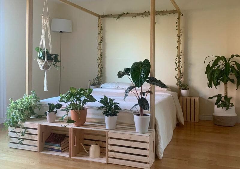 trang trí phòng ngủ Pallet gỗ kết hợp cây thân leo và chậu cây