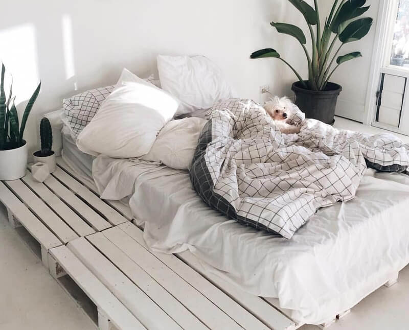 Mẫu giường Pallet trắng phối đệm trắng và chăn kẻ ô