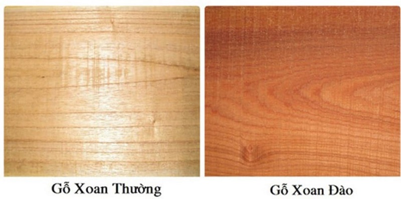 Cách phân biệt gỗ Sapele xoan đào với xoan ta