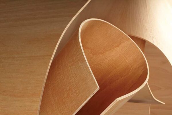 quy trình sản xuất ván ép cong