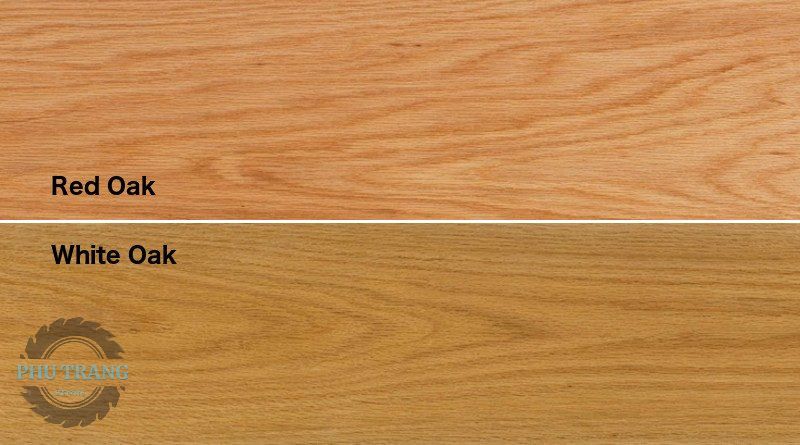 Gỗ sồi đỏ và gỗ sồi trắng