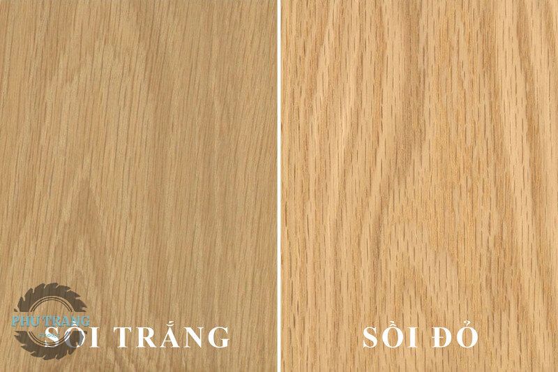 Gỗ sồi Nga trắng và đỏ