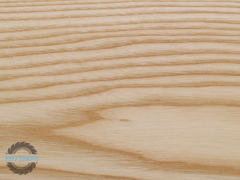 Bề mặt mịn của gỗ sồi Nga