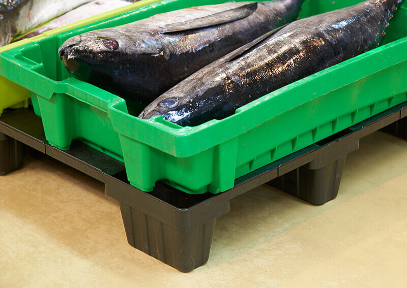 Pallet nhựa ứng dụng trong thuỷ sản