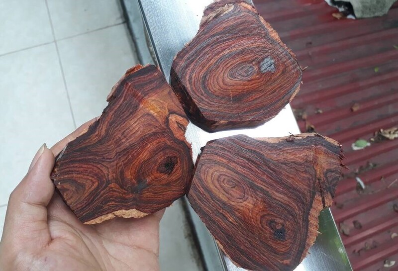 Hoa văn ấn tượng của gỗ Sưa