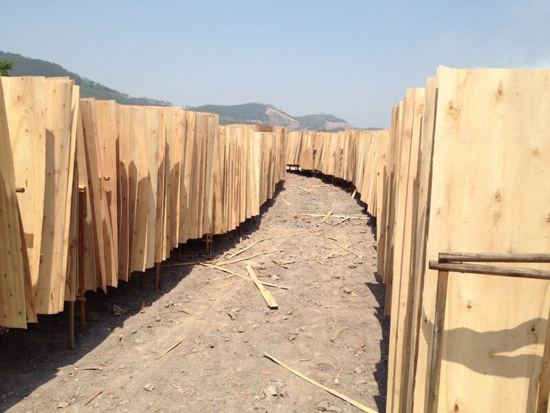 Quá trình nhập nguyên liệu sản xuất ván ép phủ phim