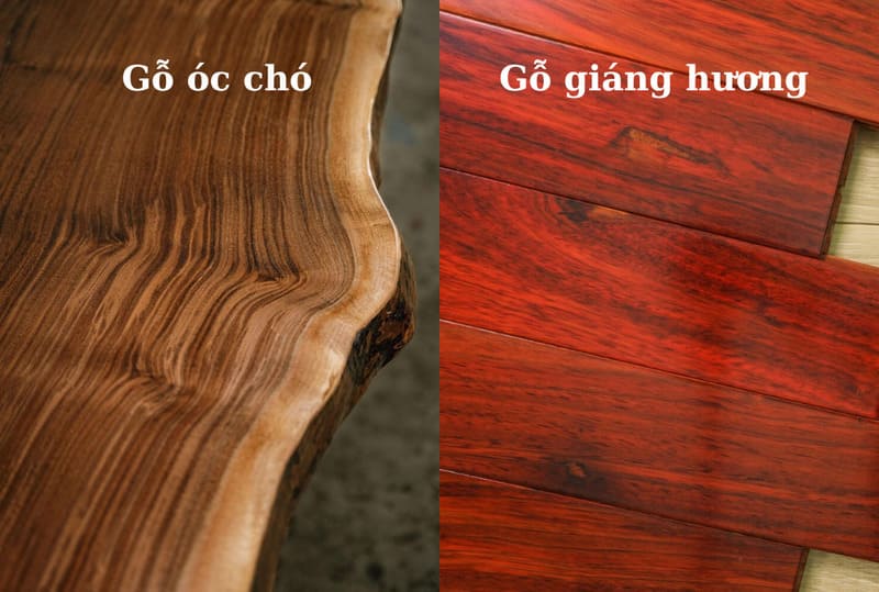 Vân gỗ óc chó và gỗ giáng hương