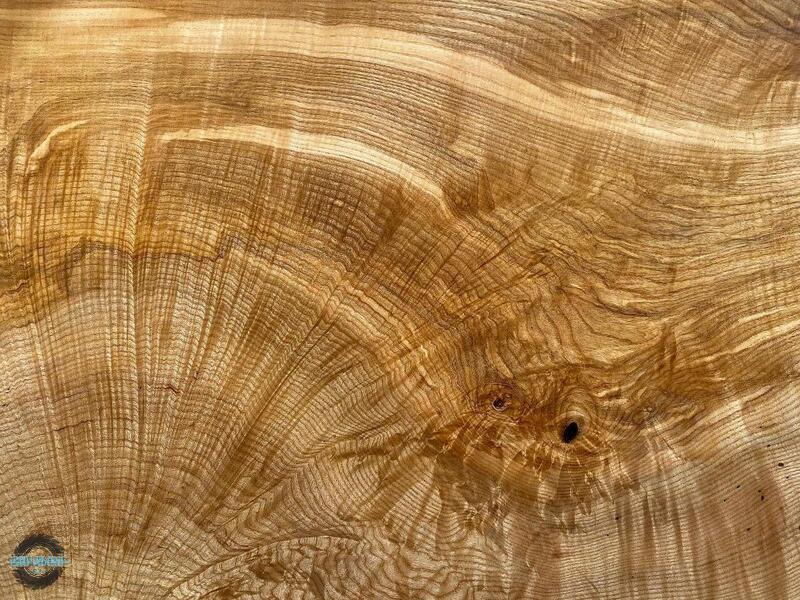 Đặc điểm của gỗ Ash