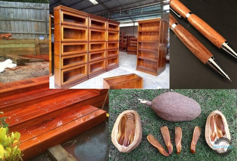 Ứng dụng hạn chế của gỗ Dái Ngựa trong nội thất