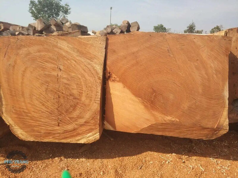 Phân loại gỗ Doussie