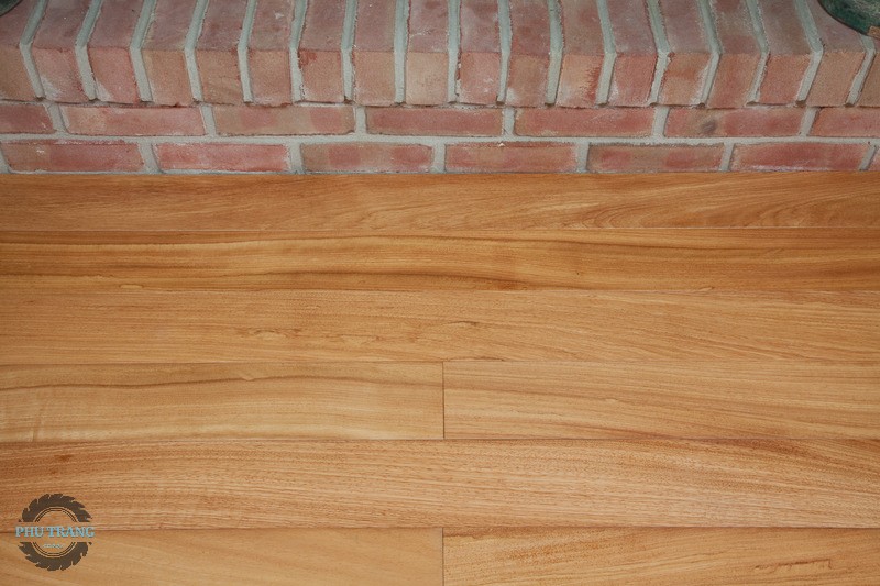 Gỗ Doussie có bị mối mọt không