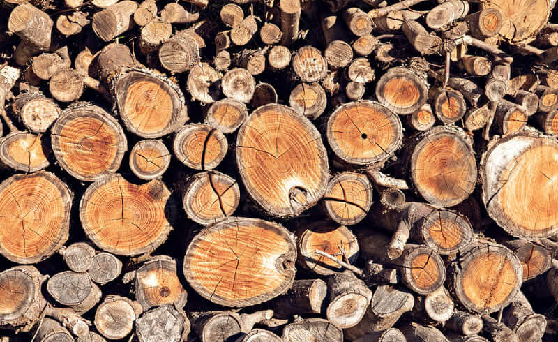 Gỗ mahogany thân thiện với môi trường