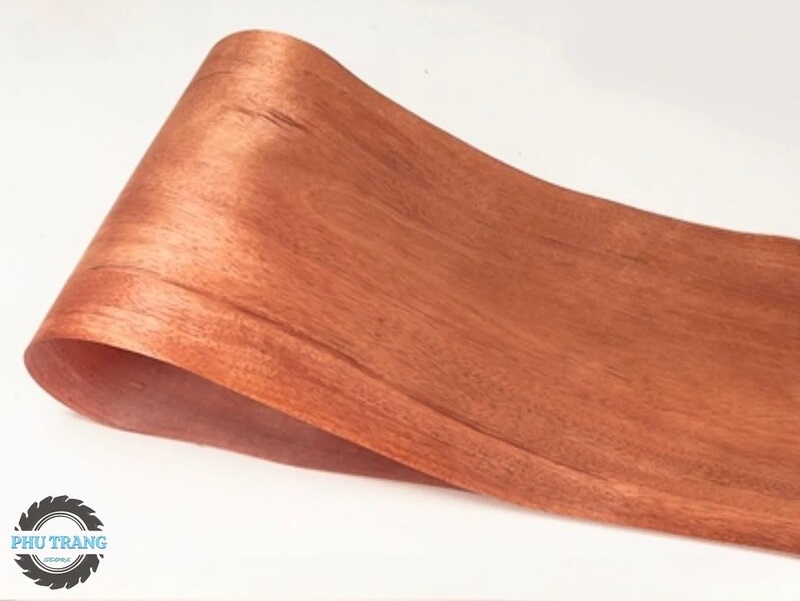 Gỗ Veneer xoan đào