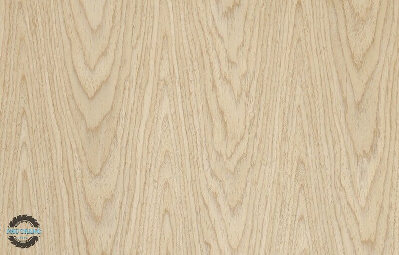 Gỗ Veneer sồi