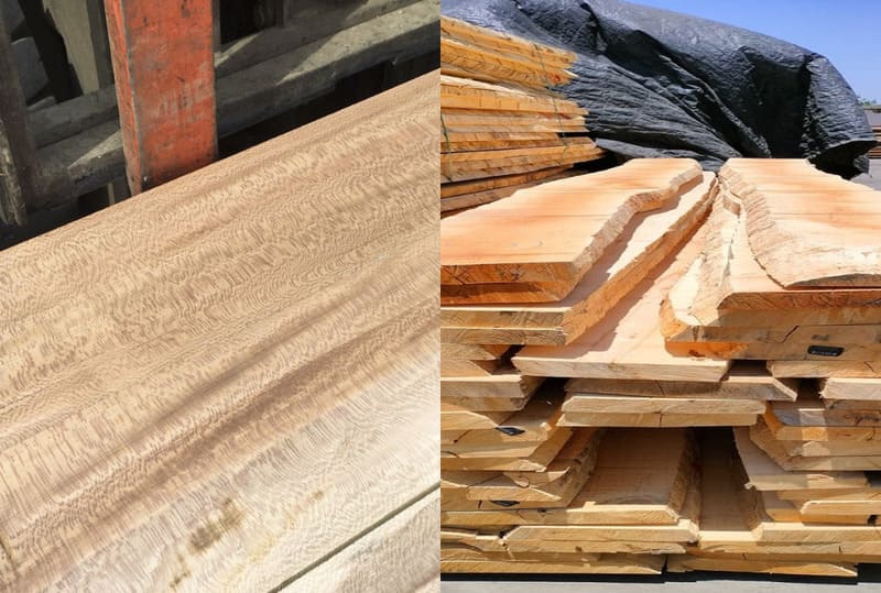 Gỗ sung dâu là một loại gỗ có khả năng chịu lực, chịu máy tốt