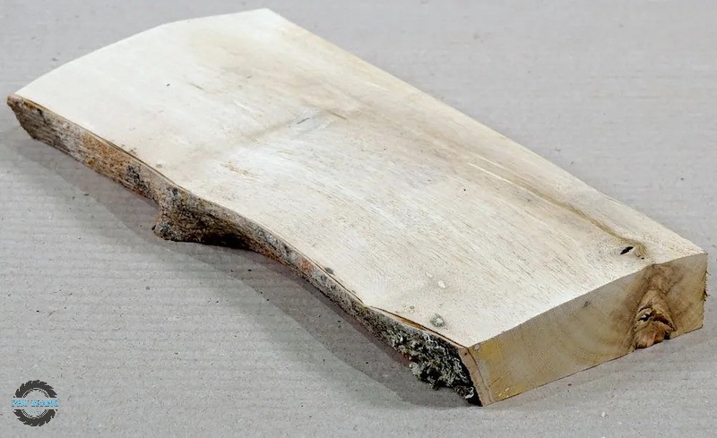 Gỗ Sung có tốt không