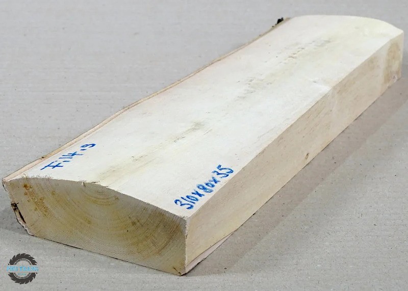 Gỗ Sung có tốt không