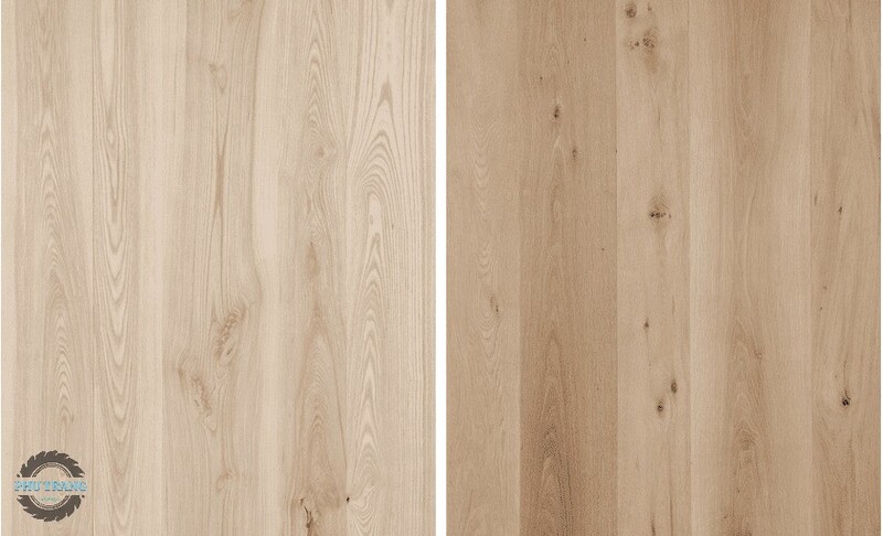 Gỗ Ash và gỗ sồi Oak