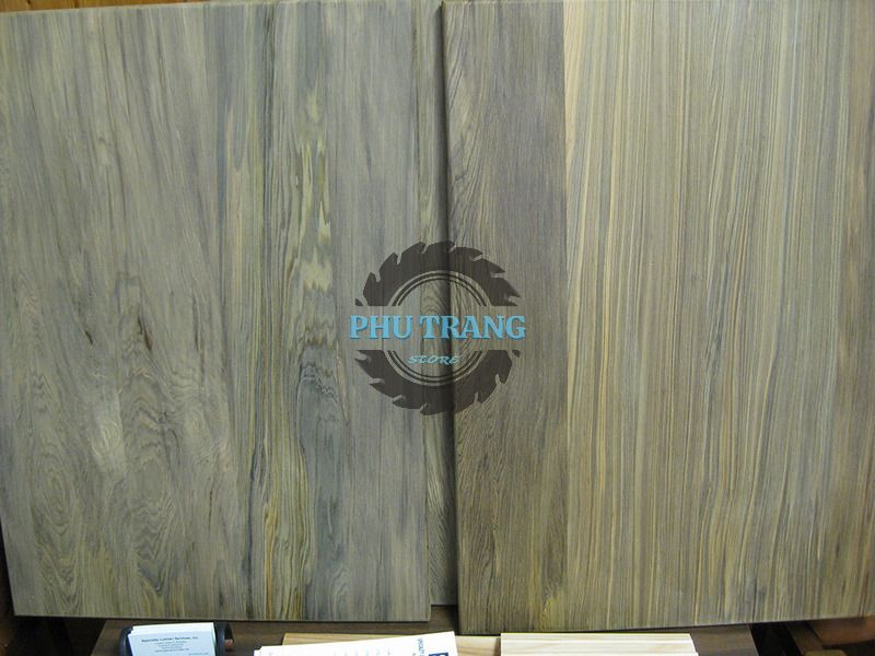 Gỗ bách xanh đổi màu