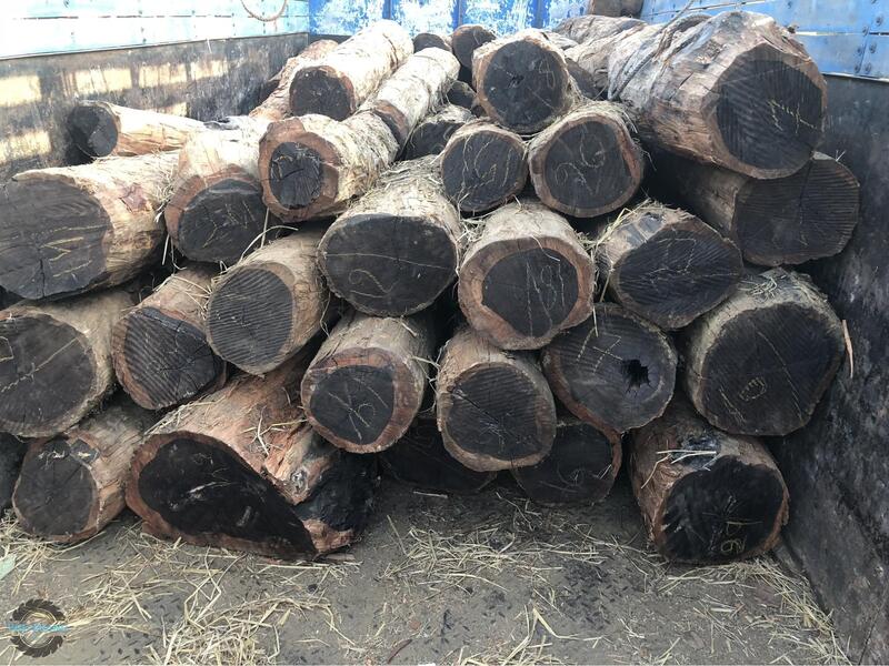 Gỗ Mun Ebony quý hiếm