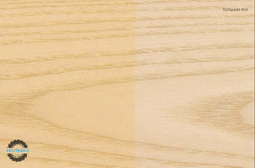 Gỗ tần bì European