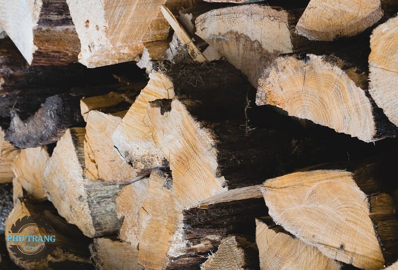 Cách để nhận biết gỗ thông