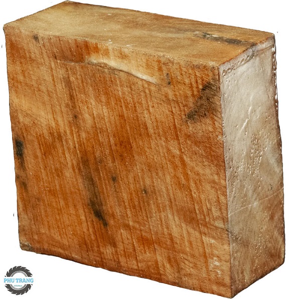 Gỗ tràm bông vàng