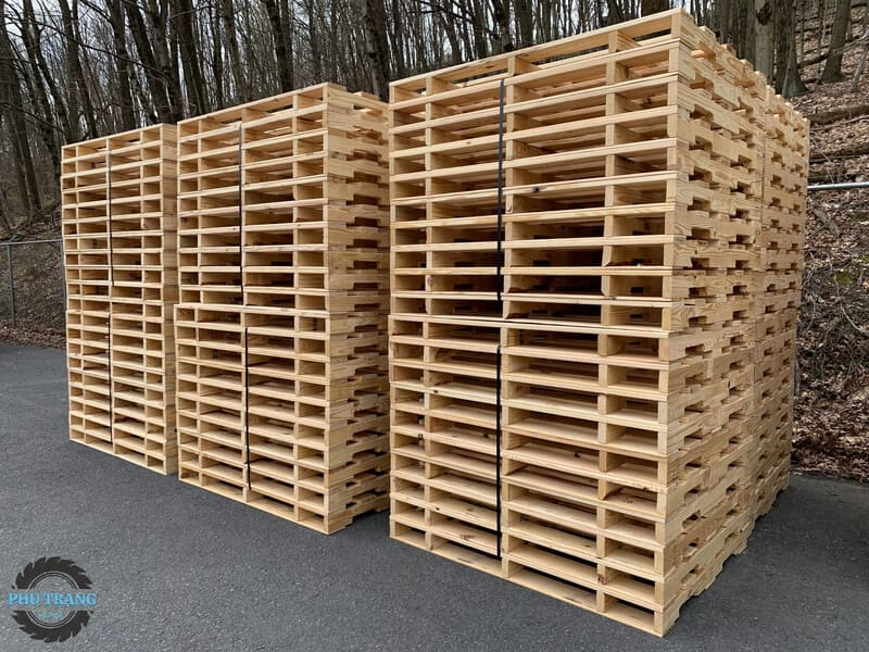 Pallet gỗ thông là gì